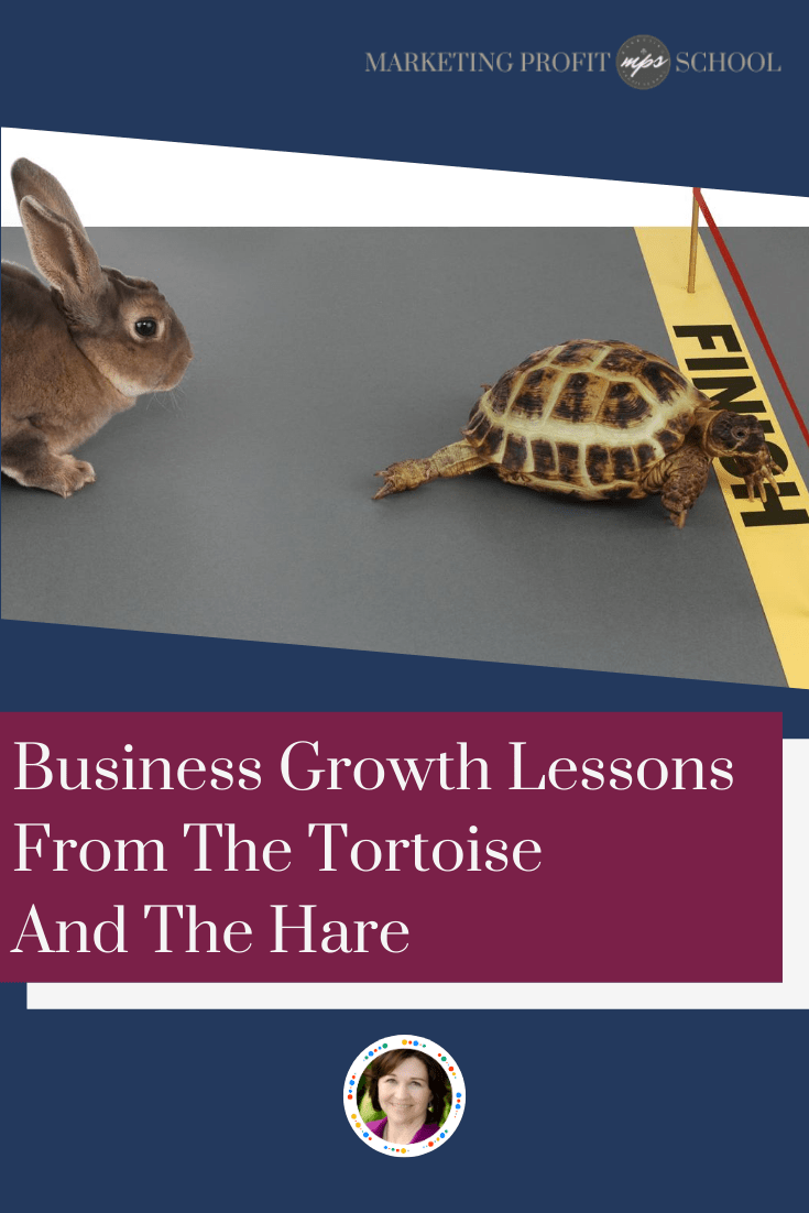 tortoise and hare business growth