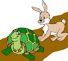 business growth tortoise and hare
